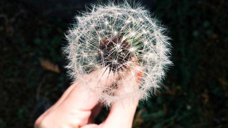 标签分类与推荐系统的抽象数据流示意